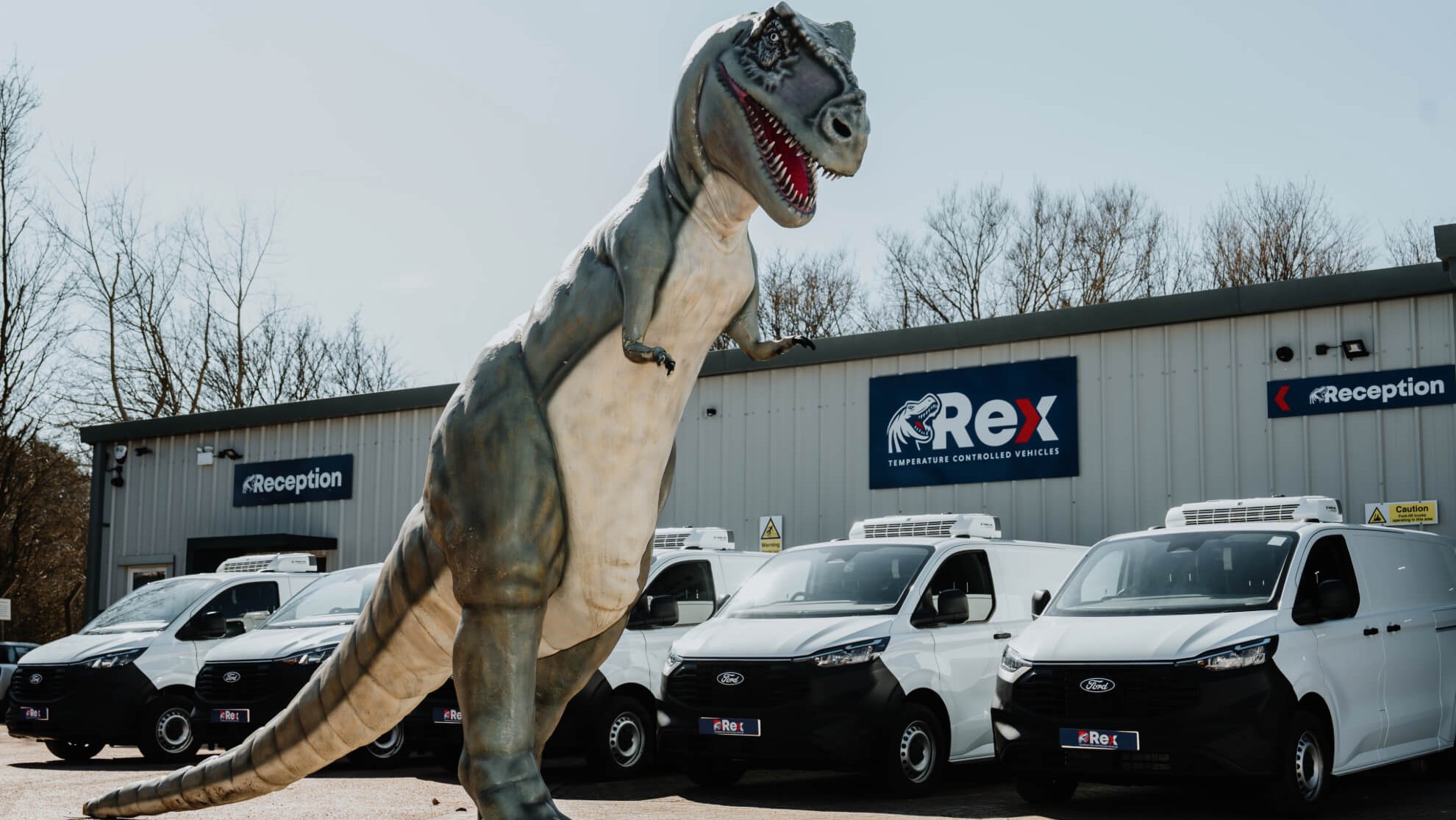 white van conversions Rex reception